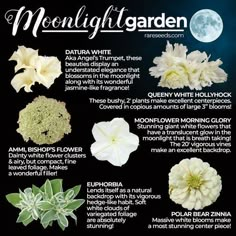 an image of moonlight garden flowers and their names on the front cover, with text below it