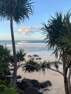 the beach is lined with palm trees and rocks, along with the ocean in the background