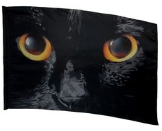 fd1722 Printed cat eye color guard flag by The Band Hall Cat Eye Colors, Creative Colour, Eye Color, Cat Eye