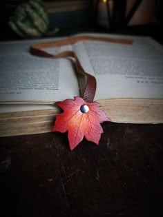 an open book with a red leaf on it and a leather strap around the edge