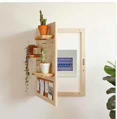 a shelf that has some plants on top of it and pictures hanging from the wall