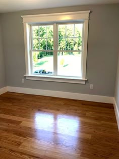 empty room with hard wood floor and large window