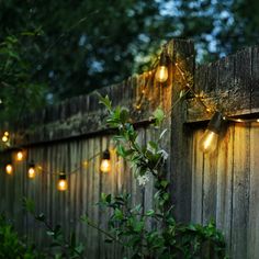 some lights that are on the side of a wooden fence with trees in the background