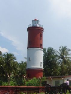 a red and white light house sitting next to a lush green forest filled with palm trees