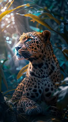 a large leopard sitting in the middle of some trees and grass with sunlight shining through it