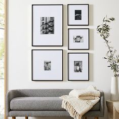 four black and white photographs hang on the wall above a couch with a blanket, vases and potted plant