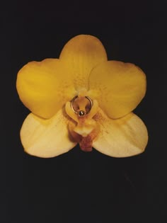 a yellow flower with a ring on it