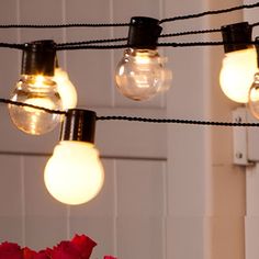 several light bulbs are hanging from a string with red flowers in front of the wall