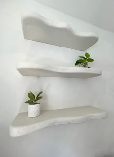 two white shelves with plants in them on the wall next to each other and one shelf has a plant growing out of it