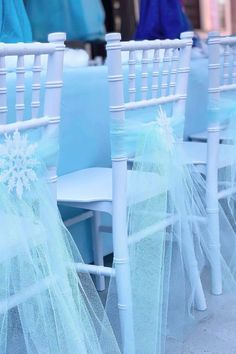 white chairs with blue sashes are lined up