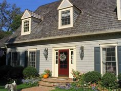 a dog is standing in front of a gray house with blue shutters and red door