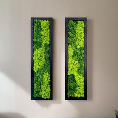 two black frames with green plants in them on the wall next to a couch and coffee table