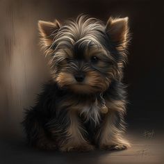 a small brown and black dog sitting on top of a floor next to a wall