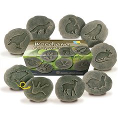 twelve animal imprints are shown in front of a package with the word woodland on it