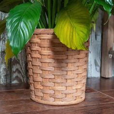 a basket that has some plants in it