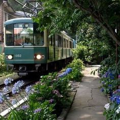 a green train traveling through a lush green forest filled with purple and white wildflowers