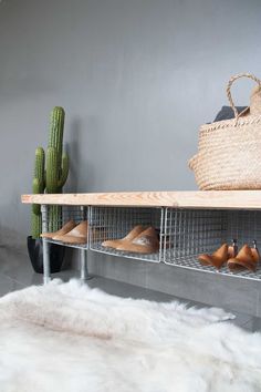 a shelf with several pairs of shoes on it and a cactus in the corner next to it