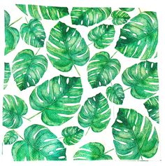 watercolor painting of green tropical leaves on white paper by artist and photographer susan grisby