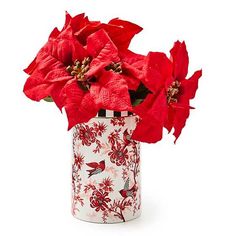 a red poinsettia in a white vase on a white background with birds