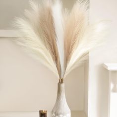 a vase with some white feathers in it