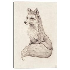 a pencil drawing of a fox sitting on top of a tree branch with its head turned to the side