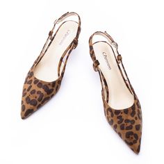 PRICES MAY VARY. To ensure a long-lasting luxurious and comfortable experience, we have combined our soft lambskin leather insole with suede. The unique leopard print design, adding a sense of wildness, style and luxury to the shoe. Adjustable Ankle Strap: Handcrafts women slingback shoes with buckle can adjust the fitting freely as your preference and reducing the worry of grinding your feet Perfect Balance：These slingback pumps are designed with a heel 2.5-inch that strikes the perfect balance Fall Flats 2024, Comfortable Shoes With Dresses, Fall Womens Shoes, Work Pumps, Festival Shoes, Leopard Pumps, Flats For Women, Leopard Print Shoes, Leopard Shoes