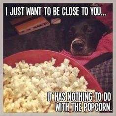 a dog is laying down next to a bowl of popcorn and the caption reads, i just want to close to you it has nothing to do with the popcorn