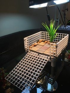 a potted plant sitting on top of a glass table next to a light fixture