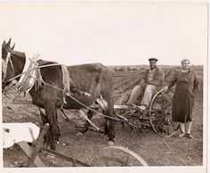 an old photo of two people on a horse drawn carriage in the middle of a field