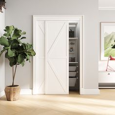 a potted plant sitting next to an open door in a room with white walls