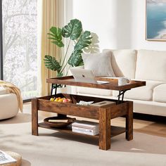 a living room with a couch, coffee table and potted plant