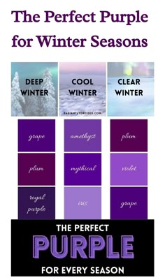 True Winter Color Analysis, Violet Color Combination, Winter Undertone, Cool Winter Colors, Winter Palette Outfits