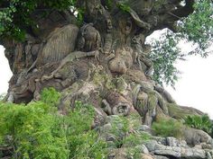 the tree of life at disney's animal kingdom is carved from rocks and trees