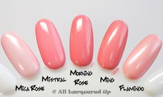 Mstral vs Morning Rose Now Nails, Morning Rose, Nail Swatches, Nails Inspiration, I Try, 30 Years, An Artist