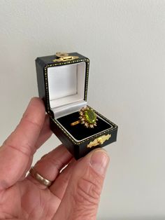 a hand holding an open black box with a green ring in it's middle