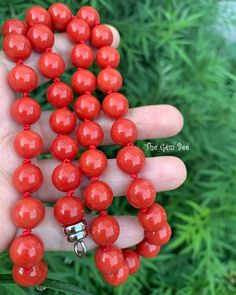 Thank you for coming in! Beautiful Mediterranean Sardinia Coral with stunning ox blood red color and lovely round shape and extremely rare even size! Such a necklace would be advertised as 12mm in the trade but we want to be as accurate as possible. Hand polished and drilled in Italy! The color is directly from the ocean, not dyed! 100% natural beauty! 24 inch strand, 44 beads temporarily strung with a silver clasp! Manufactured in Italy! Appr 97 grams. You'll get the strand you see! Photos were Red Coral Jewelry With 8mm Beads, Red Polished Beads Round Jewelry, Classic Red Gemstone Beads Necklace, Classic Red Necklace With Gemstone Beads, Luxury Red Necklace With Polished Beads, Red Coral Beaded Round Necklace, Classic Red Jewelry With Round Beads, Formal Red Round Beaded Jewelry, Red Gemstone Round Necklace