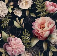 a black background with pink flowers and green leaves on the bottom right corner is an image of three large peonies