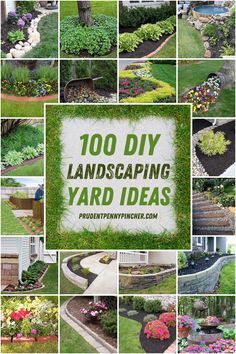 Diy Edging, Small Yard Landscaping Ideas, Curb Appeal On A Budget, Diy Landscaping Ideas, Landscaping Projects, Simple Landscaping, Small Yard Landscaping, Easy Backyard