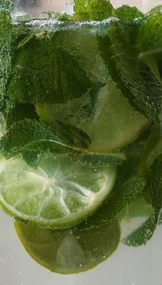 lime slices and mint leaves in water