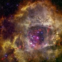 SubconsciousMind, PowerWithin, Manifest Best Life Rosette Nebula, Nasa Space, Photo Of The Day, Public Space, In Bloom, Nasa, The Day, Stars