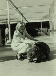 Wombat with model at the San Diego Zoo. San Diego California, Dental Implants, Free Consultation, San Diego, California, Saying Goodbye