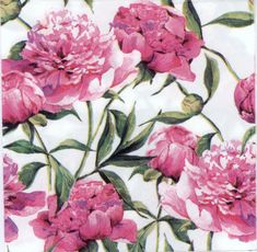 pink flowers on white background with green leaves and stems in full bloom, all over print