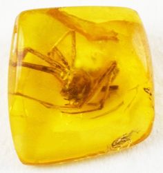 260 Amber Inclusions ideas | amber inclusion, amber, baltic amber