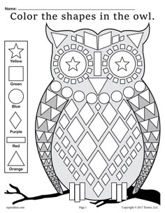 an owl sitting on a tree branch with the words color the shapes in the owl