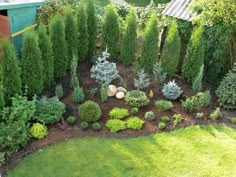 a garden with lots of green plants and bushes in it's center, next to a shed