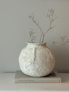 a white vase sitting on top of a book next to a plant in the middle