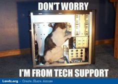 a cat sitting inside of a computer monitor with caption that reads, oh here's your problem the computer is missing get 9gag from the app store