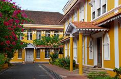 a yellow and white building with flowers in the foreground