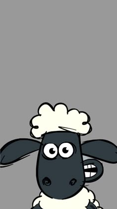 a black and white sheep with a funny look on it's face, standing in front of a gray background