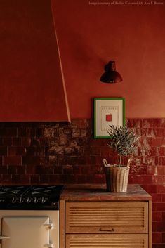 a potted plant sits on top of a wooden cabinet next to an old stove